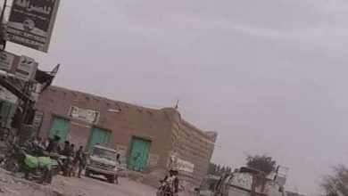صورة مليشيا الحوثي تقتل مغترباً بعد نهبه بصحراء الجوف