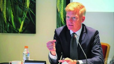 صورة غروندبرغ يحسم الجدل بشأن قضية صرف المرتبات