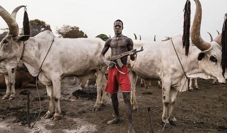 صورة أكثر من 30 قتيلا وجريحا في هجمات بسبب “الأبقار”