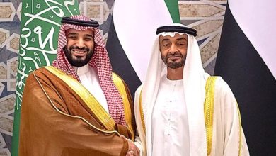 صورة ​رئيس الإمارات ينفي وجود خلافات مع السعودية بملفات اليمن والمنطقة