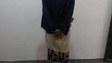 صورة إحباط محاولة تهريب كميات من مادة الحشيش المخدر في شبوة