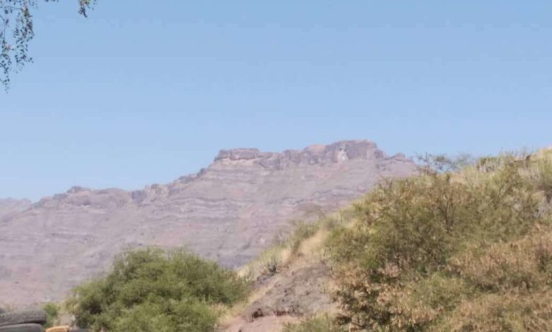 صورة القوات الجنوبية بالضالع تكسر هجمات حوثية في القهرة