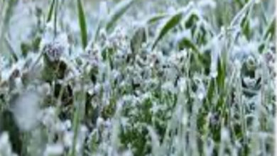 صورة فلكي يحذر من موجة صقيع في هذه المحافظات اليمنية