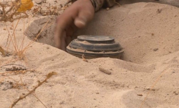 انتزاع أكثر من 700 لغم حوثي خلال الأسبوع الأخير من سبتمبر