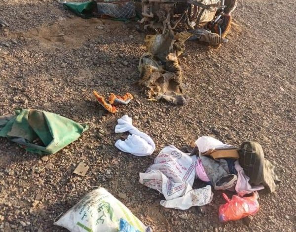 صورة مقتل شابين جراء إنفجار لغم حوثي في تعز 
