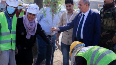 صورة البحث عن أرضية مشتركة تدشن مشروع التشجير في مدينة تعز