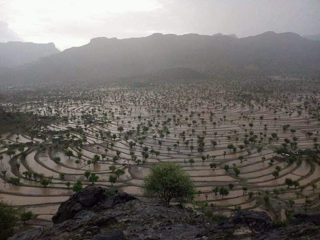 مواطن يضرم النار بجسده داخل إدارة الأمن بالعدين