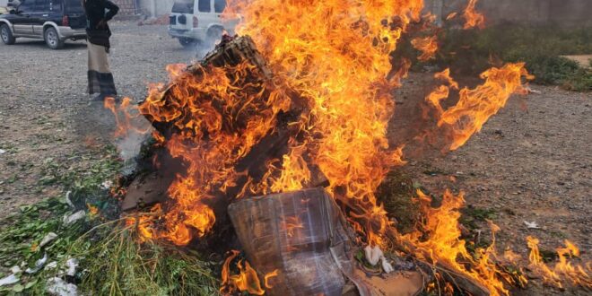صورة إحراق كميات كبيرة من القات في محافظة سقطرى بعد قرار بمنع دخولها