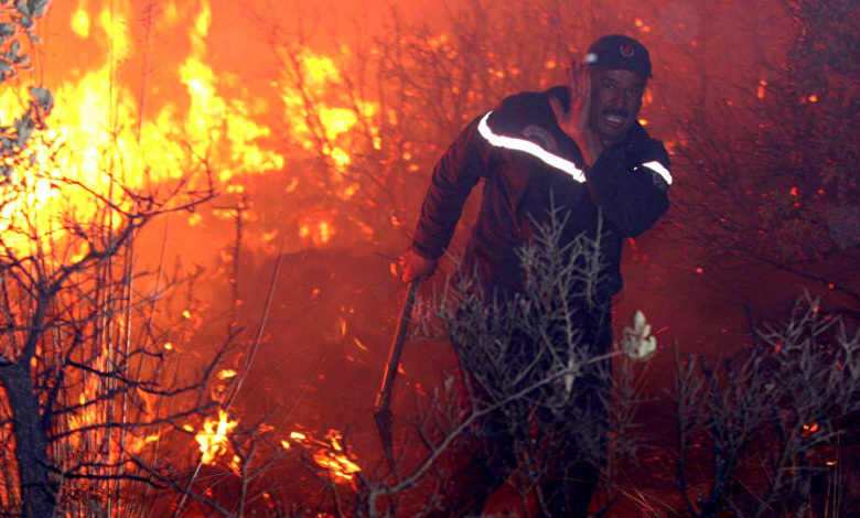 صورة مشاهد مروعة.. ارتفاع عدد قتلى الحرائق في الجزائر إلى ما يقارب 100 بينهم جنود “تفاصيل الكارثة المرعبة”