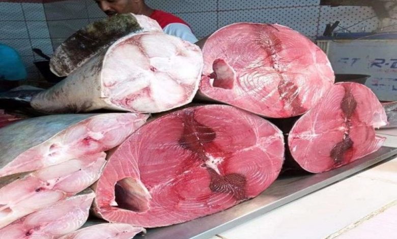 صورة أسعار الأسماك في أسواق عدن اليوم السبت 17 سبتمبر