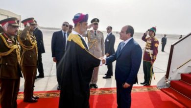 صورة مباحثات مصرية عمانية تؤكد على أهمية دعم وحدة وسيادة اليمن