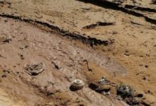 صورة مرصد حقوقي يحذر من خطر الألغام الحوثية التي جرفتها السيول