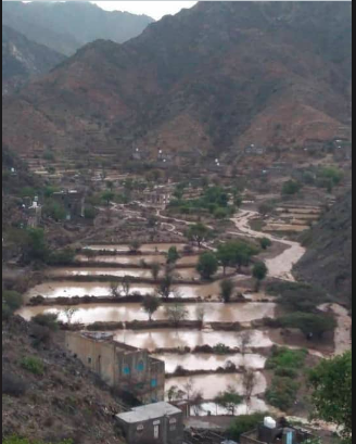 صورة الفاو: استمرار انخفاض هطول الأمطار في اليمن باستثناء هذه المحافظتين..!