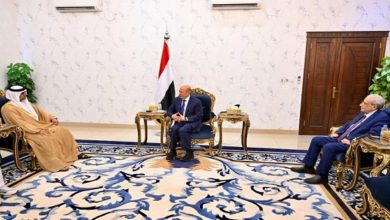صورة رئيس مجلس القيادة يشيد بتدخلات الامارات الإنمائية والإنسانية السخية للتخفيف عن الشعب اليمني