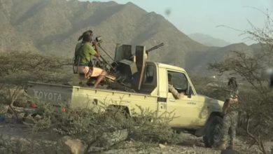 صورة القوات المشتركة تواصل التنكيل بمليشيات الحوثي في الساحل الغربي تزامنا مع هزائمها المتواصلة جنوب مأرب