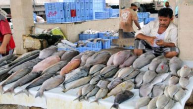 صورة ارتفاع أسعار الأسماك في عدن يفاقم معاناة السكان