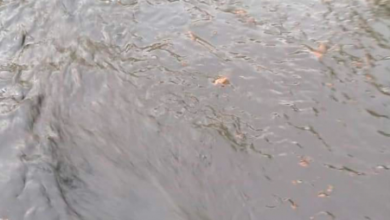 صورة تسرب نفطي يهدد آبار المياه في شبوة