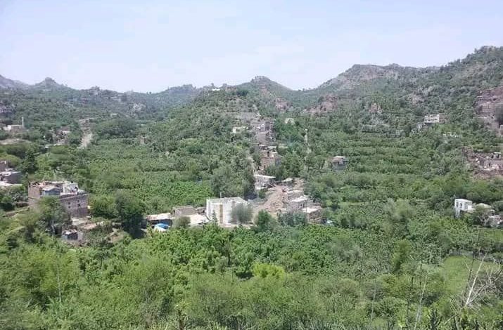 صورة تعز.. قتلى وجرحى في اشتباكات بين عصابات حوثية مسلحة