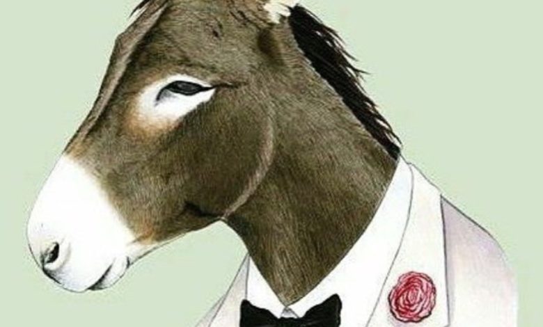 صورة تعز.. صورة حمار تقود قيادي نقابي وإعلامي الى النيابة