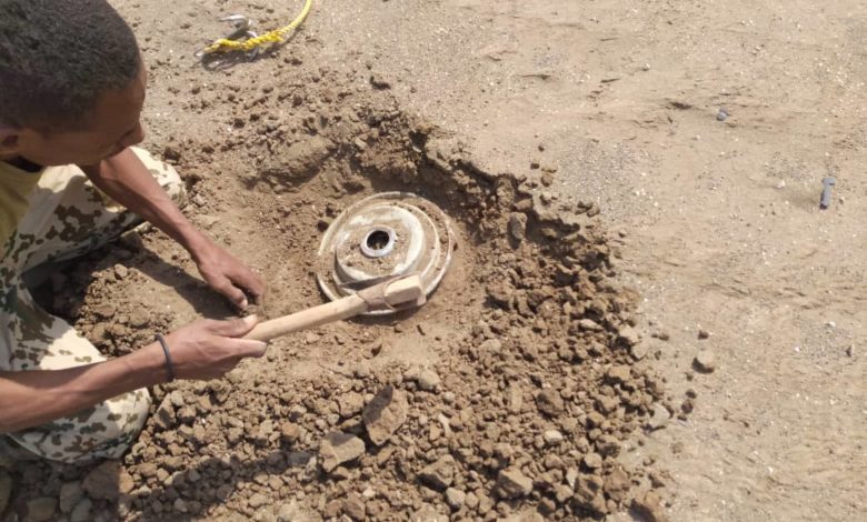 تفكيك ونزع شبكة ألغام حوثية داخل حي سكني في مدينة الحديدة "صور"