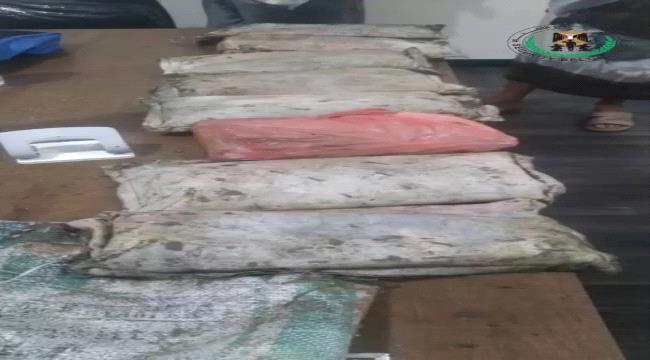 صورة حزام عدن الأمني يعثر على كمية من الحشيش المخدر شرق المحافظة