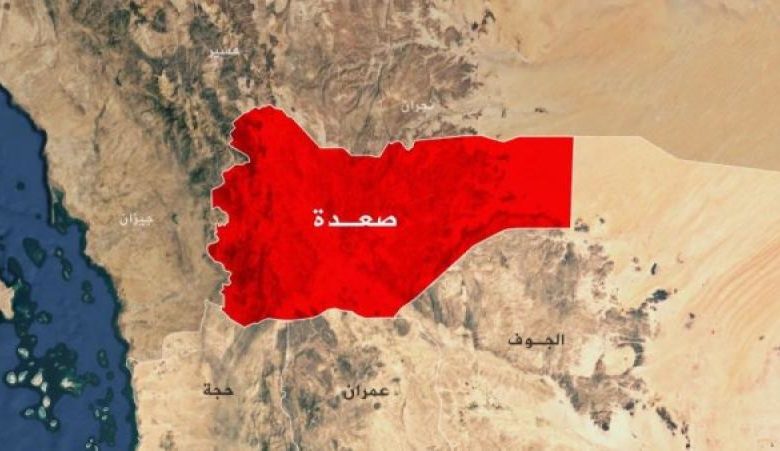 صورة التحالف العربي ينفي مزاعم مليشيا الحوثي بقصف مناطق حدودية ويكشف المسؤول عن التصفيات