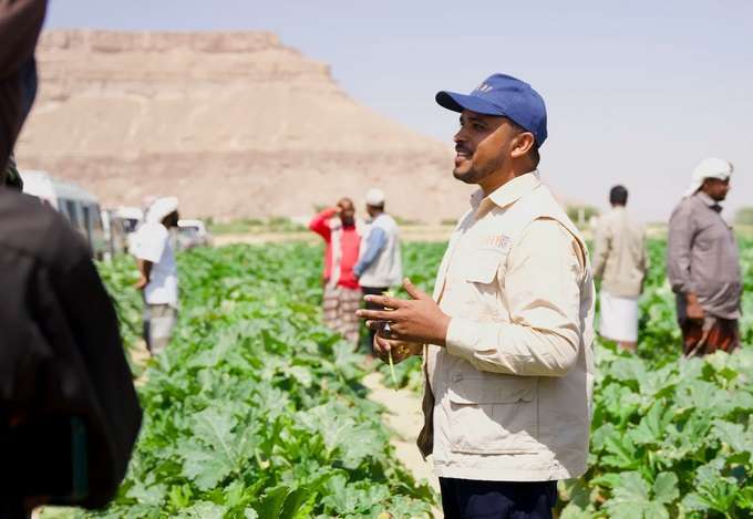 صورة برنامج الأمم المتحدة الإنمائي يؤكد دعم الزراعة في اليمن