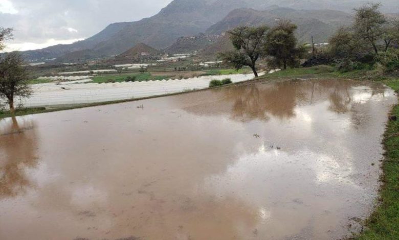 صورة الأمطار تعم 17 محافظة يمنية خلال الساعات القادمة