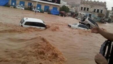 صورة تفاصيل وإحصائية بضحايا وخسائر الأمطار الغزيرة في اليمن