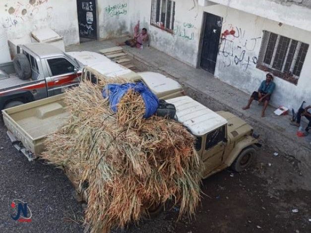 صورة ميليشيا الحوثي تصادر اسلحة بحوزة قبائل شمالي صنعاء