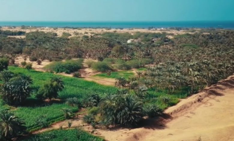 صورة لليوم الثاني.. تصعيد حوثي ضد المدنيين جنوب الحديدة وغرب تعز