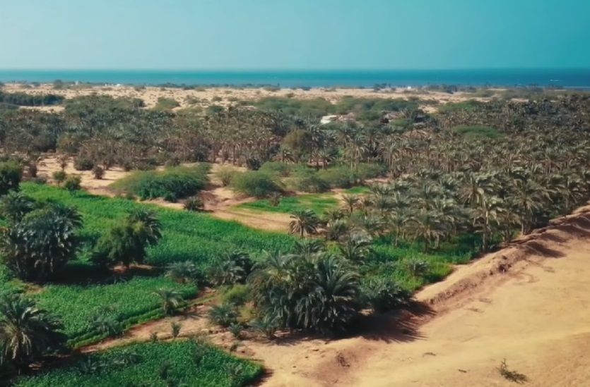 لليوم الثاني.. تصعيد حوثي ضد المدنيين جنوب الحديدة وغرب تعز