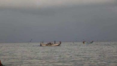 صورة البحرية الإريترية تختطف 5 صيادين من أبناء المخا