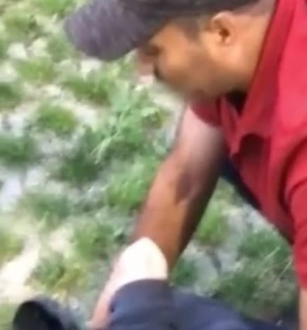 صورة الجالية اليمنية في فرنسا تصدر بيان هام حول محاولة قتل مقيم يمني وعائلته وتوجه رسالة للرئيس ماكرون