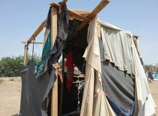 صورة امرأة يمنية تذبح ضرتها في مخيم الجفينة بمارب