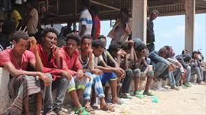 صورة الهجرة الدولية تؤكد حاجة أكثر من 300 الف مهاجر في اليمن للمساعدة الإنسانية والحماية