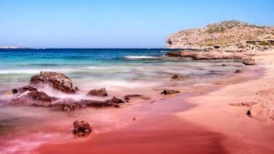 صورة مصر.. مياه البحر تتحول إلى اللون الأحمر.. ومختص يكشف السبب