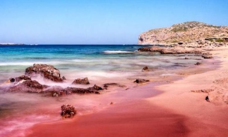 صورة مصر.. مياه البحر تتحول إلى اللون الأحمر.. ومختص يكشف السبب