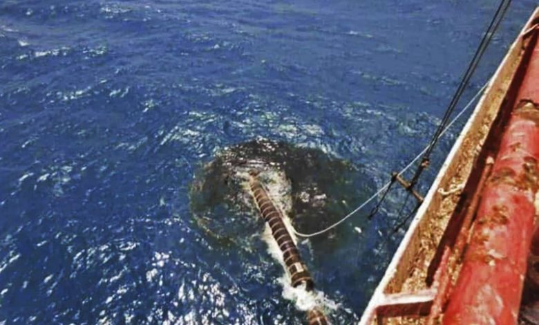 صورة سفينة صافر النفطية في البحر الاحمر.. ما قبل الكارثة “فيديو جرافيك”