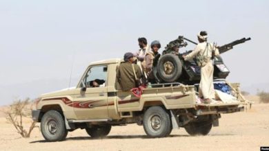 صورة فرار جماعي لمقاتلي الحوثي و الجيش والمقاومة يطاردونهم في جبهات مأرب