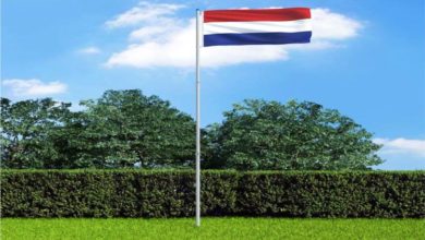 صورة هولندا تؤكد دعمها للحكومة الشرعية لتحقيق السلام