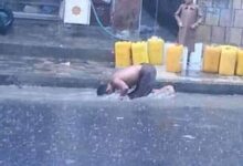 صورة عار ولعنة عليكم ان استمر هذا الحال